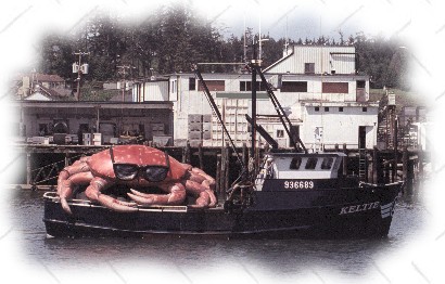 Captain Umpclaw escapes capture in 2002