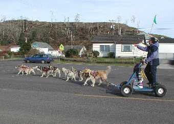 Dune Mushers in Winchester Bay, Oregon