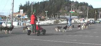 Dune Mushers in Winchester Bay, Oregon